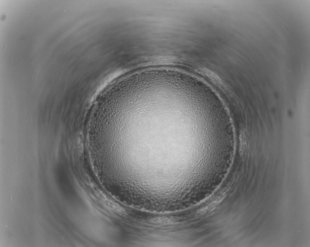 X0000060751212200511171114