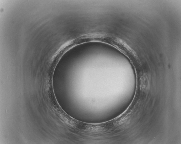 X0000060751213200511171114