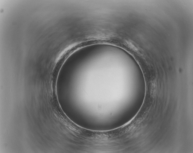 X0000060751214200511171114