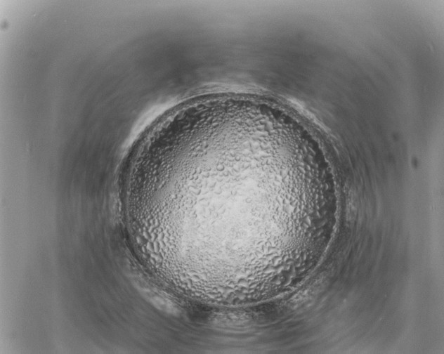 X0000060751215200511171114