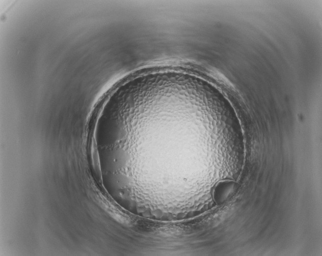 X0000060751216200511171114