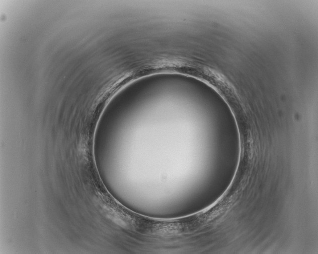 X0000060751217200511171114