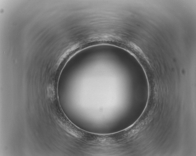 X0000060751218200511171114