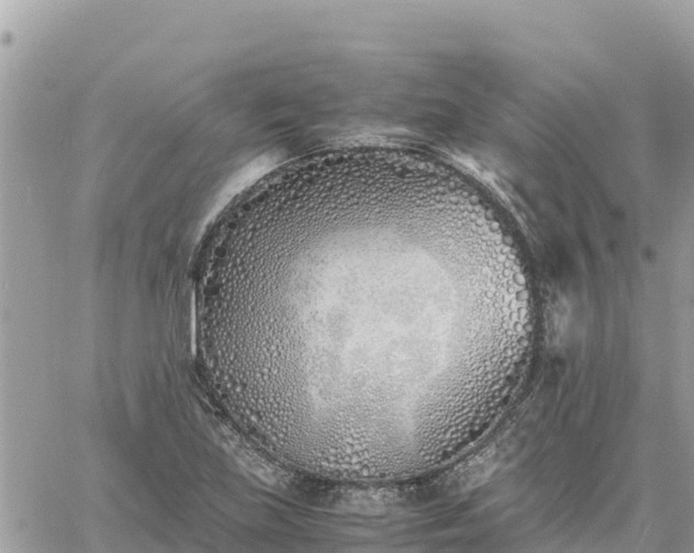 X0000060751219200511171114