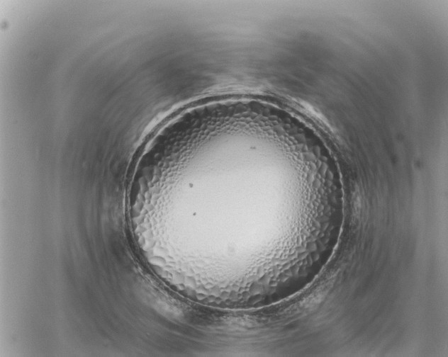 X0000060751220200511171114