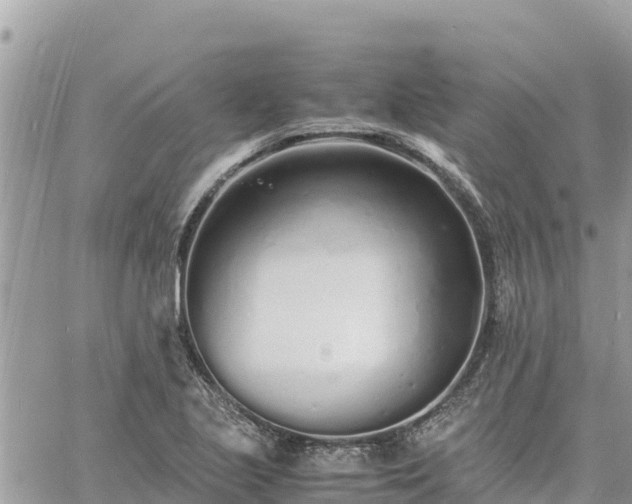 X0000060751221200511171114