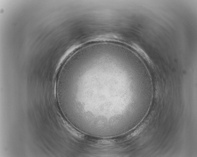 X0000060751224200511171114