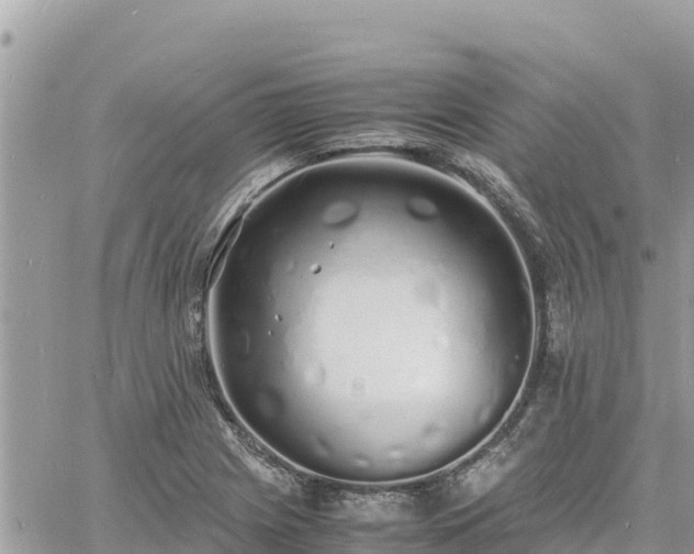 X0000060751225200511171114