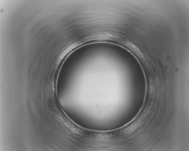 X0000060751226200511171114