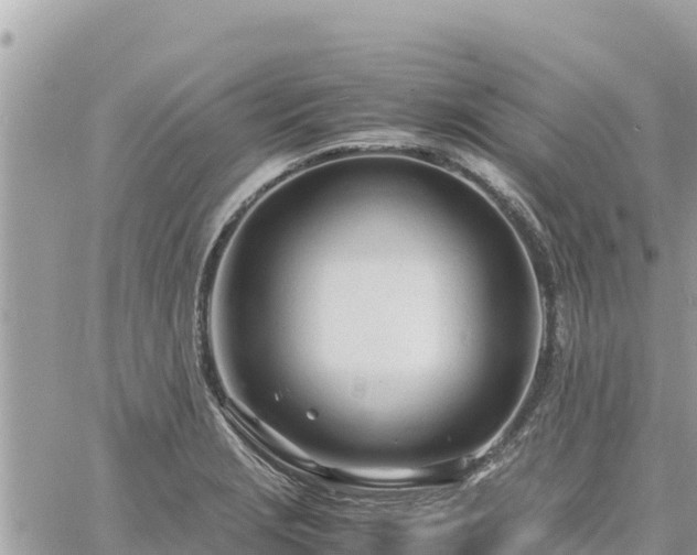 X0000060751229200511171114