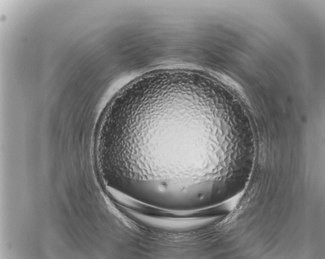 X0000060751231200511171114