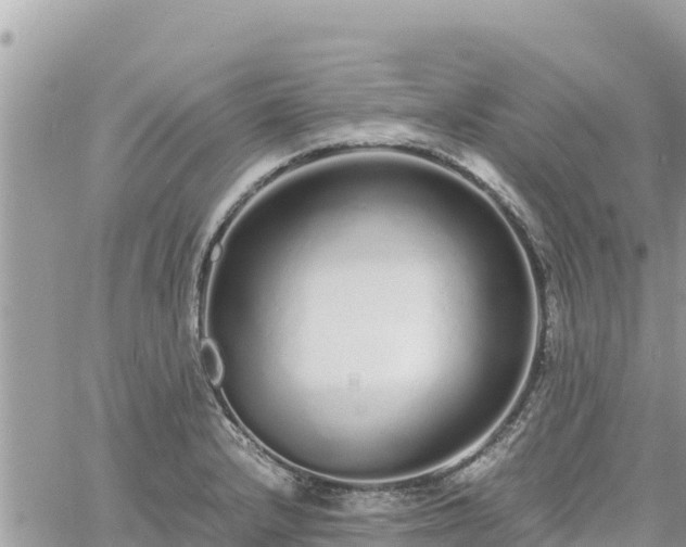 X0000060751232200511171114