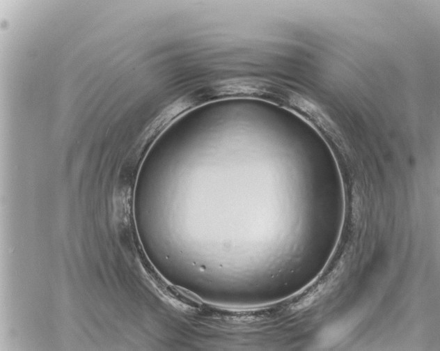 X0000060751233200511171114