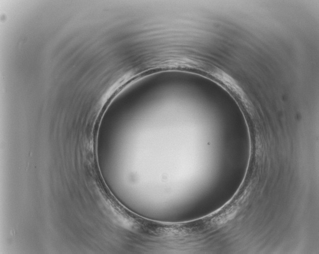 X0000060751234200511171114