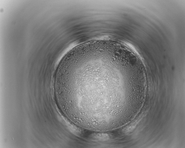 X0000060751235200511171114