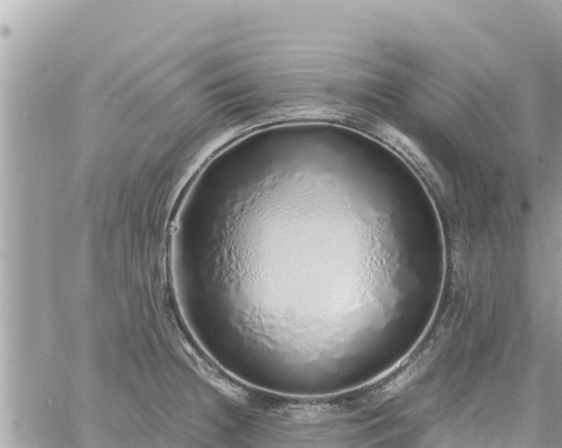 X0000060751236200511171114