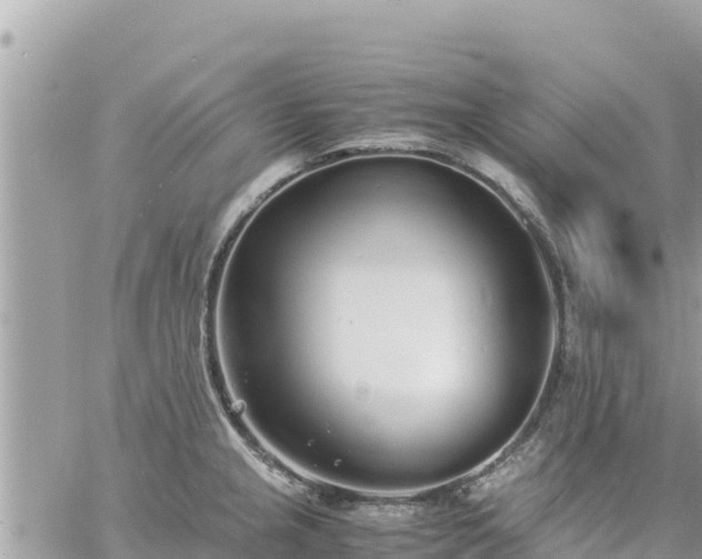 X0000060751237200511171114