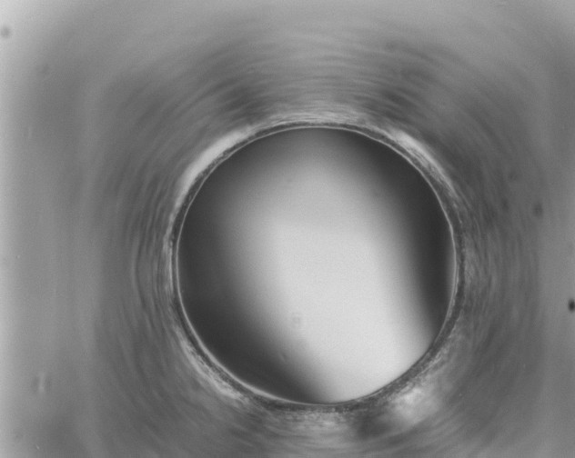 X0000060751238200511171114