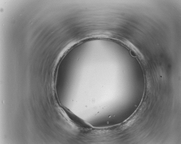 X0000060751240200511171114