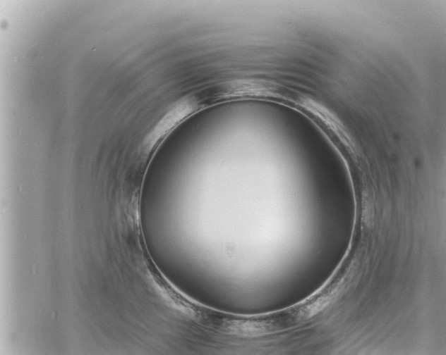 X0000060751241200511171114