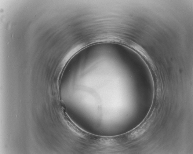 X0000060751242200511171114