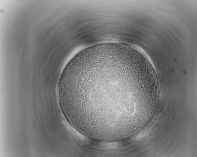 X0000060751243200511171114