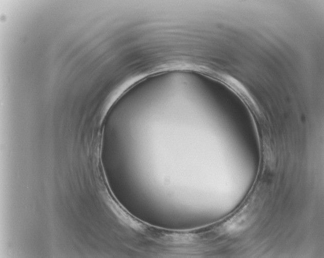 X0000060751244200511171114