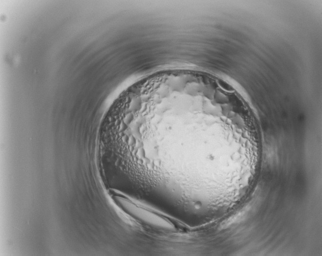 X0000060751245200511171114