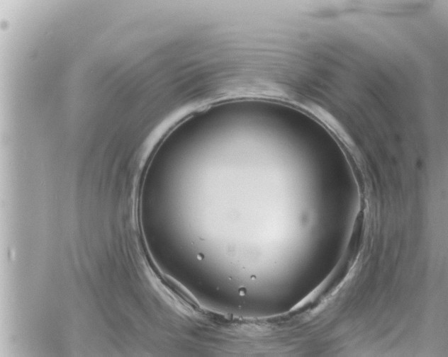 X0000060751246200511171114