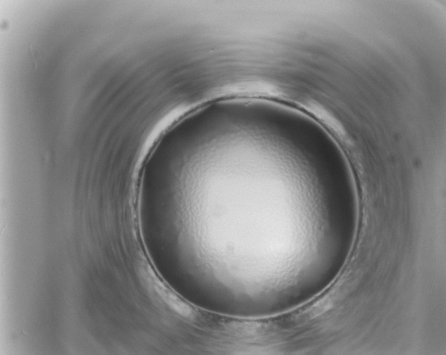 X0000060751248200511171114