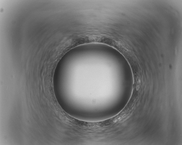 X0000060751249200511171114