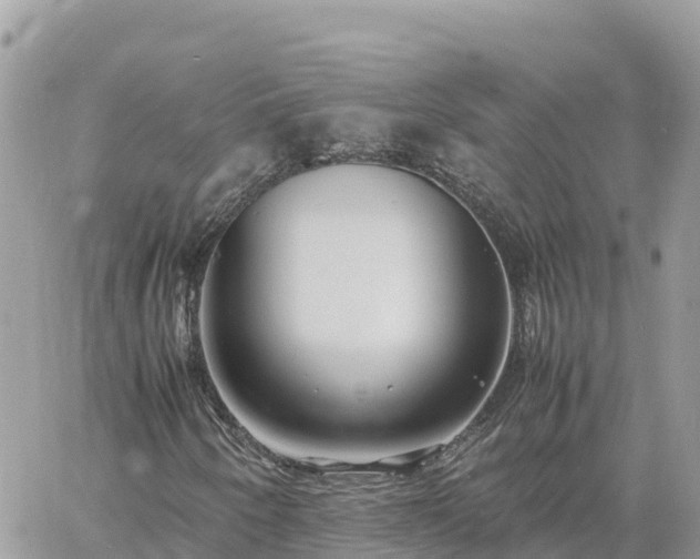 X0000060751250200511171114