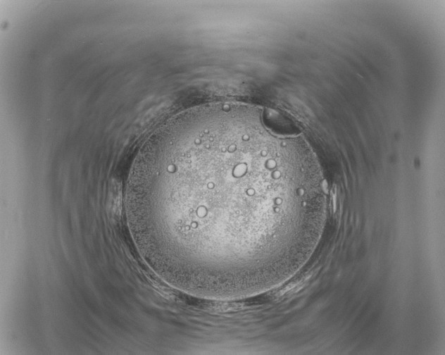 X0000060751251200511171114