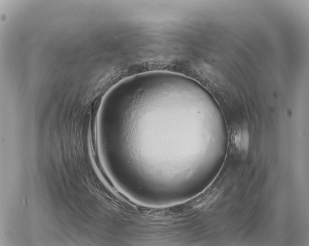 X0000060751252200511171114