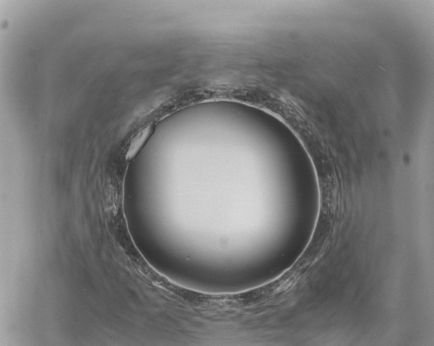 X0000060751253200511171114