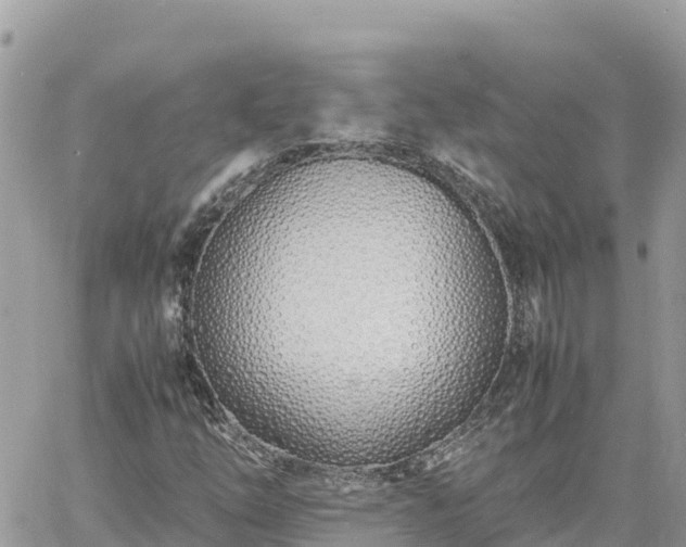 X0000060751254200511171113