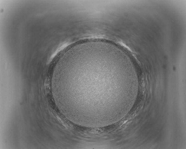 X0000060751255200511171113