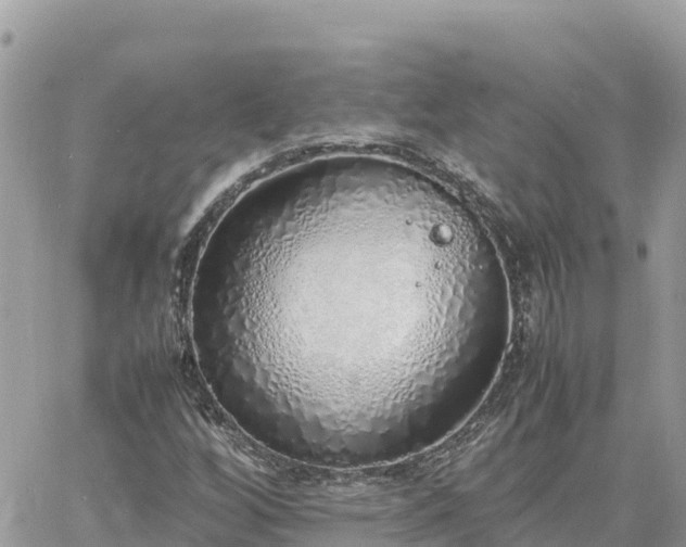 X0000060751256200511171113