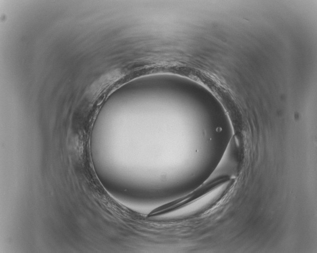 X0000060751257200511171113