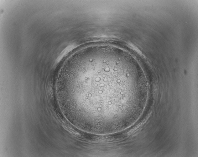 X0000060751259200511171113