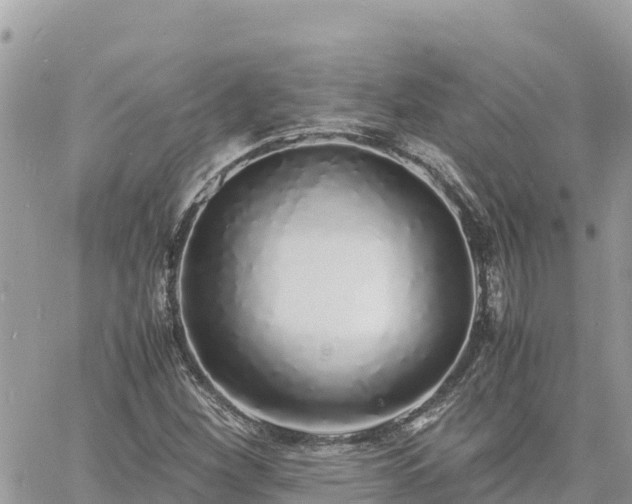 X0000060751260200511171113