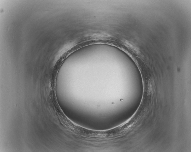 X0000060751261200511171113