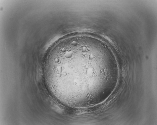 X0000060751263200511171113