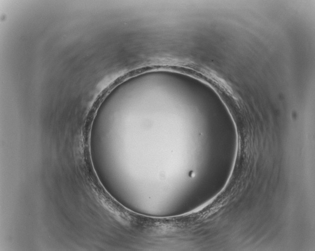 X0000060751264200511171113