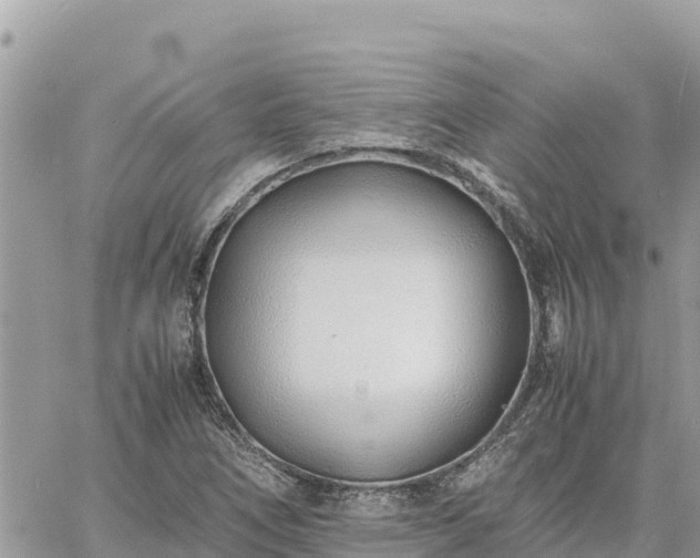 X0000060751266200511171113