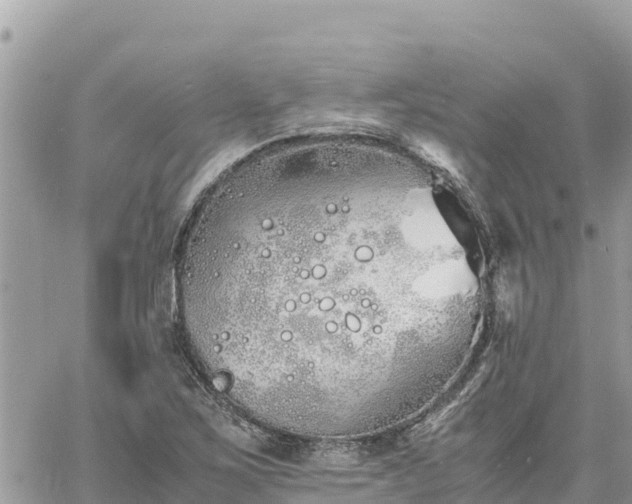 X0000060751267200511171113