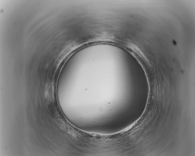 X0000060751268200511171113