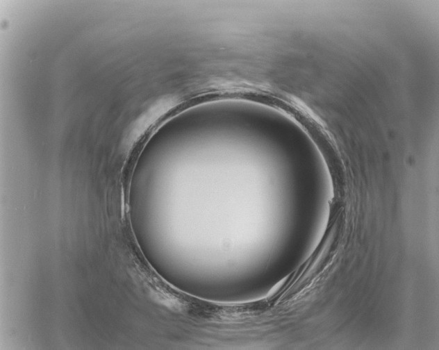 X0000060751269200511171113