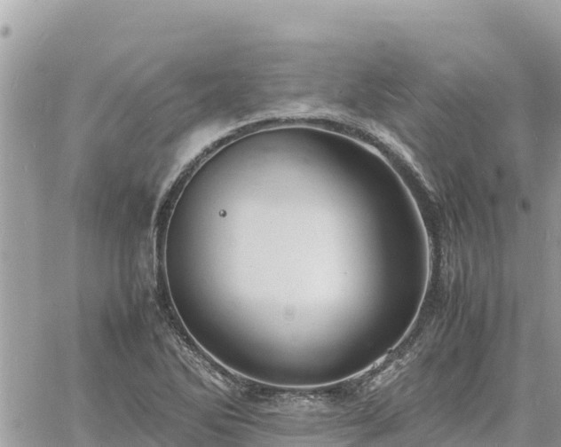 X0000060751270200511171113