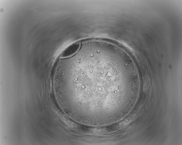 X0000060751271200511171113